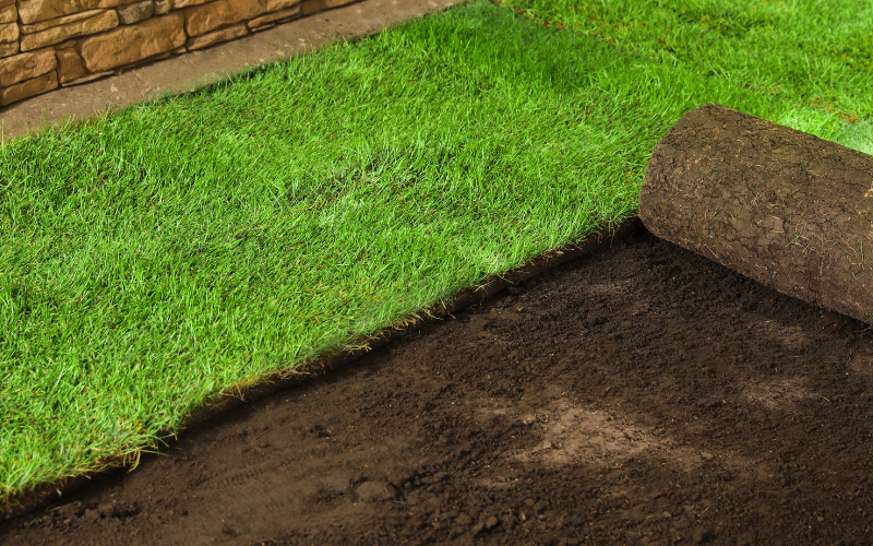 Sod Installation Image